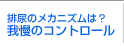 �r�A�̃��J�j�Y���́H�䖝�̃R���g���[��